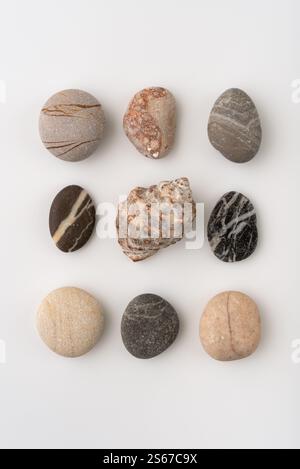 Eine Sammlung von bunten natürlichen Kieselsteinen, die in Reihen auf weißem Hintergrund angeordnet sind. Jeder Stein weist einzigartige Strukturen und Muster auf, die sich perfekt für eine Decke eignen Stockfoto