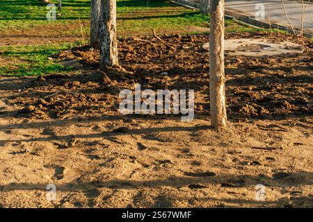 Es gibt keinen Rasen in der Stadt. Problem der Landschaftsgestaltung in Kasachstan. Die Bürgersteige verschmutzen und schlampfen Stockfoto