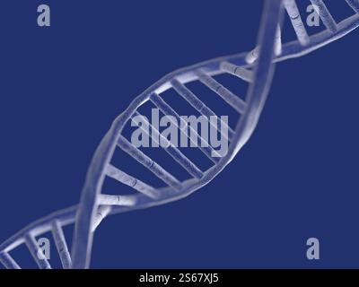 Nukleinsäure. DNA. Doppelspirale. Isoliert. Strang. 3D-Abbildung. Stockfoto