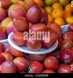 Bio-Tamarillo (Solanum betaceum) Super Food Obst auf dem lokalen Obst- und Gemüsemarkt, Quito, Ecuador. Stockfoto