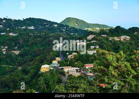 Saint George s, Grenada, Karibik - 10. Januar 2025: Ein malerischer Ausblick auf grüne Hügel, tropischen Wald und bunte Häuser auf der Insel Grenada in der Karibik, umgeben von Bergen *** ein malerischer Ausblick auf grüne Hügel, tropischen Wald und bunte Häuser auf der Insel Grenada in der Karibik, umgeben von Bergen Stockfoto