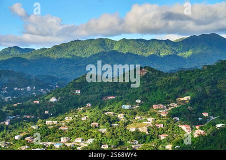 Saint George s, Grenada, Karibik - 10. Januar 2025: Ein malerischer Ausblick auf grüne Hügel, tropischen Wald und bunte Häuser auf der Insel Grenada in der Karibik, umgeben von Bergen *** ein malerischer Ausblick auf grüne Hügel, tropischen Wald und bunte Häuser auf der Insel Grenada in der Karibik, umgeben von Bergen Stockfoto