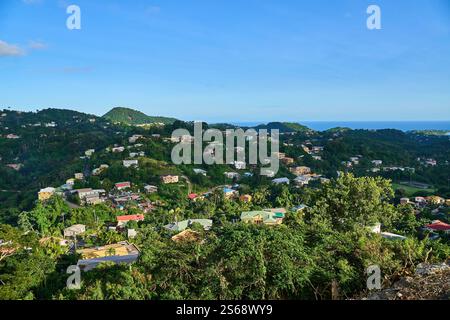 Saint George s, Grenada, Karibik - 10. Januar 2025: Ein malerischer Ausblick auf grüne Hügel, tropischen Wald und bunte Häuser auf der Insel Grenada in der Karibik, umgeben von Bergen *** ein malerischer Ausblick auf grüne Hügel, tropischen Wald und bunte Häuser auf der Insel Grenada in der Karibik, umgeben von Bergen Stockfoto