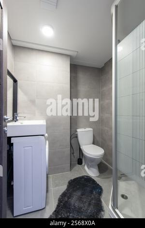 Ein gut organisiertes und praktisches Badezimmer mit elegantem, modernem Design, Dusche, Toilette, Waschbecken und Waschmaschine für die effiziente Nutzung von en Stockfoto