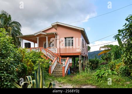 Saint George s, Grenada, Karibik - 10. Januar 2025: Ein traditionelles karibisches Haus auf Grenada, umgeben von üppiger tropischer Vegetation und Bananenbäumen *** ein traditionelles, karibisches Haus auf Grenada, umgeben von üppiger tropischer Vegetation und Bananenstauden Stockfoto