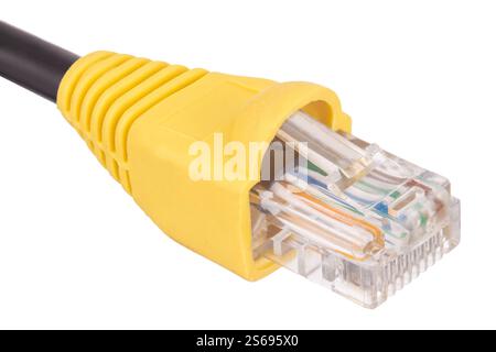 Gelbes Ethernet-Kabel mit RJ45-Anschluss Stockfoto