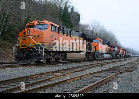 Everett, WA, USA - 15. Januar 2025; BNSF-Güterzug mit mehreren Motoren an nebeligen Tagen Stockfoto