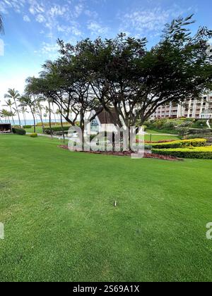 Kirche in Maui Stockfoto