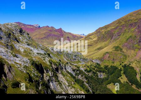 Rund um den Estaens-See im Aspe-Tal, Pyrenäen Atlantiques, Frankreich Stockfoto