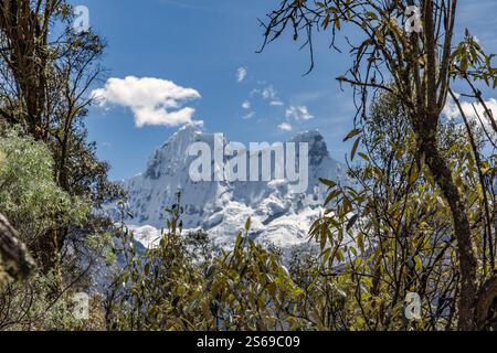 Natürlicher Rahmen von Bäumen mit einem wunderschönen schneebedeckten Hintergrund im Kontrast zum blauen Himmel und der Schönheit des Abenteuers durch die mou Stockfoto