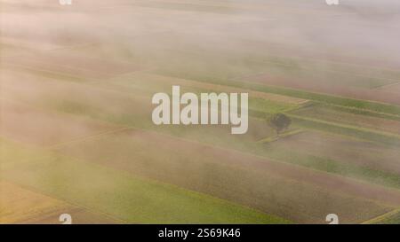 Atemberaubender Nebel Sonnenaufgang über farbenfrohem Ackerland und Landschaft Stockfoto