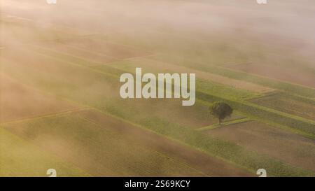 Atemberaubender Nebel Sonnenaufgang über farbenfrohem Ackerland und Landschaft Stockfoto