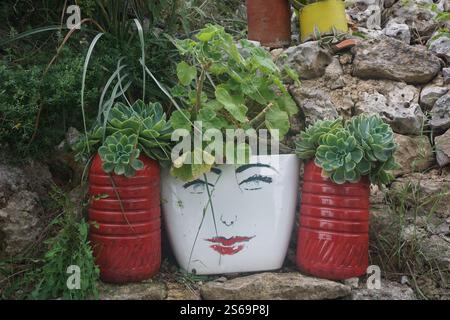 Ein riesiger Pflanztopf mit einem lächelnden Gesicht und zwei Kunststofffässern auf beiden Seiten, die eine zweite Chance und eine neue Verwendung als Pflanzgefäße im Garten haben Stockfoto