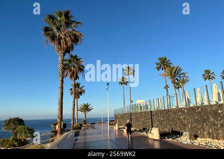 Abschnitt der von Palmen gesäumten Promenade an der Küste der Costa Adeje bei Playa de Fanabe. Teneriffa, Kanarische Inseln, Spanien. Januar 2025. Stockfoto
