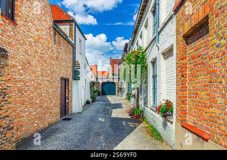 Leere, enge Kopfsteinpflaster-Sackgasse, ruhige Straße, Gebäude mit Blumen an Backsteinmauern am sonnigen Sommertag, Brügge Altstadt, Brügge altes Schlepptau Stockfoto