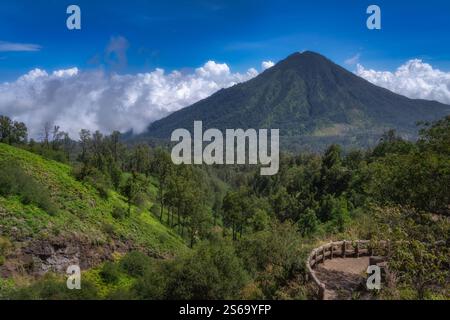 Erkunden Sie die atemberaubende Landschaft mit einem Vulkan, dichten Wäldern und einem dramatischen Himmel, perfekt für Naturliebhaber und Abenteuerlustige, Ost-Java, Ije Stockfoto