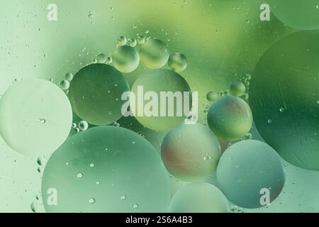 Abstrakter Hintergrund mit Farbverlauf in Grüntönen. Geometrische Formen Kugeln unterschiedlicher Größe. Kosmetische Hintergründe für die Präsentation von Kosmetika. Stockfoto