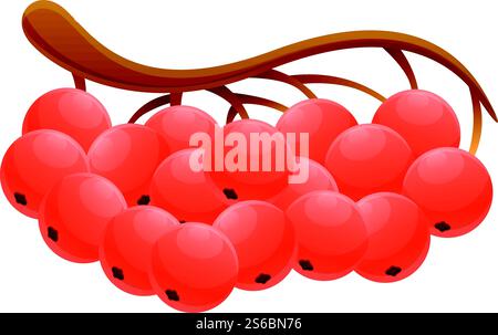 Symbol „Rowan Zweig“. Cartoon des rowan Branch Vektor-Icons für Webdesign isoliert auf weißem Hintergrund. Rowan Branchensykone im Cartoon-Stil Stock Vektor