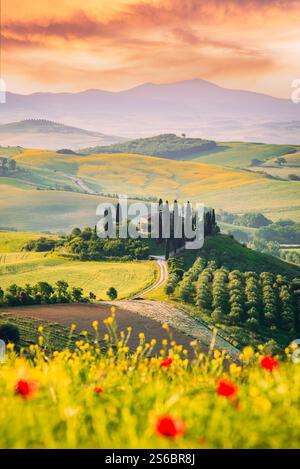 Val d'Orcia, Toskana. Idyllische toskanische Landschaft bei Sonnenaufgang, San Quirico d'Orcia, berühmter Reiseort Italiens. Stockfoto