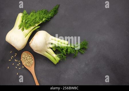 Haufen getrockneter Fenchelsamen in Holzlöffel mit frischen Fenchelzwiebeln, duftende krautige Pflanze (Foeniculum vulgare) Stockfoto