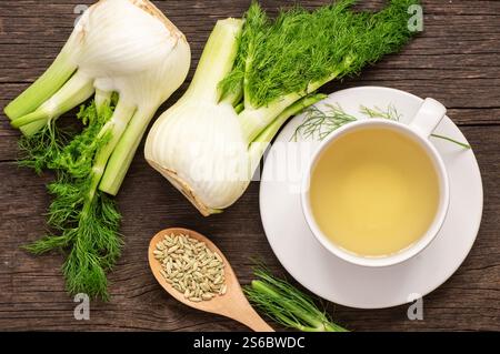 Kräuterinfusion Fencheltee in Glasbecher oder Becher mit getrockneten Fenchelsamen und Fenchelzwiebeln. Alternative Medizin Hintergrundkonzept (Foeniculum vulgare) Stockfoto