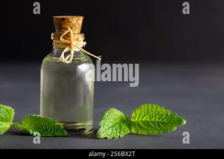 Glasflasche des ätherischen Öls melissa (Zitronenmelisse) mit frischen melissablättern, Kräutermedizin Konzept, Aromatherapie Stockfoto