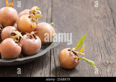 Frisches reifes organisches gemeines Mehlobst in Teller oder Schüssel auf rustikalem hölzernem Hintergrund. Gesunde Ernährung Mespilus germanica Stockfoto