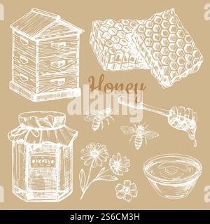 Hand skizzierte Honigvektorelemente - Biene, Waben, Gläser. Illustration von handskizziertem Honig und Blume. Hand skizzierte Honigvektorelemente - Biene, Waben, Gläser Stock Vektor