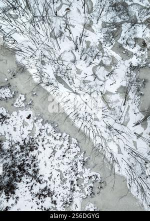 Luftaufnahme von Bäumen in einem gefrorenen Sumpfgebiet im Winter Stockfoto