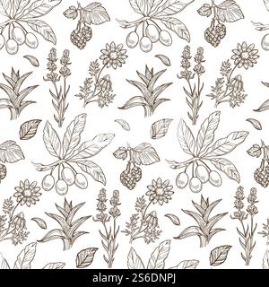 Pflanzen, die in der Kosmetik der alternativen Medizin verwendet werden, nahtloses Muster von Sanddorn- und Aloe Vera-Blättern, blühende Blumen. Hippophae-Beeren am Zweig. Einfarbige Skizzenkontur, Vektor in abgewickelter Form. Sanddorn und Aloe Vera, Blumen und Blätter nahtlose Muster Stock Vektor