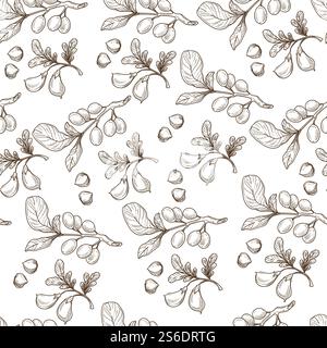 Hippophae Zweige mit Beeren und Laub, nahtloses Muster aus Bio-Naturprodukt. Sanddornpflanze mit antioxidativen Eigenschaften, entgiftend. Einfarbige Skizzenkontur, Vektor in abgewickelter Form. Sanddornpflanze, Laub und Beeren des nahtlosen Musters der hippophae Stock Vektor