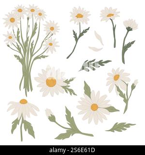 Blumen in Blumenstrauß gebunden, isolierte Ikonen von Kamille in Blüte. Blühende Flora mit Blättern und Stängel. Heilkraut, natürliches und umweltfreundliches Wachstum. Blumendekoration, Vektor in flachem Stil. Kamillenblütenstrauß in der Blüte, Blumenvektor Stock Vektor