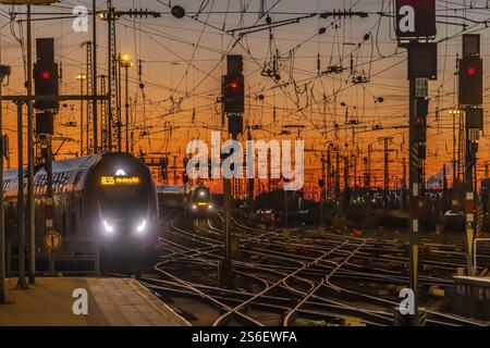 Gleisvorfeld mit Zügen, Schienen, Punkten, Pylonen und Signalanlagen. Infrastruktur am Hauptbahnhof. Sonnenuntergang. Frankfurt am Main, Hessen, Deutschland, Stockfoto