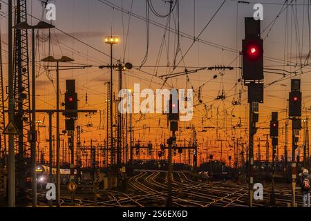 Gleisvorfeld mit Zügen, Schienen, Punkten, Pylonen und Signalanlagen. Infrastruktur am Hauptbahnhof. Sonnenuntergang. Frankfurt am Main, Hessen, Deutschland, Stockfoto
