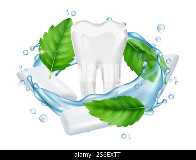 Kaugummi. Vektor frische Menthol-Blätter, weißes Kaugummi, Zahn realistisch. Illustration Grüne Minze und Menthol Bubblegum. Kaugummi. Vektor frische Menthol-Blätter, weißes Kaugummi, Zahn realistisch Stock Vektor