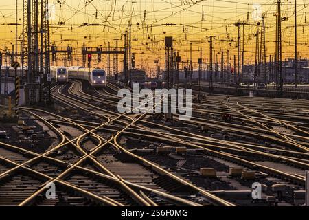 Gleisvorfeld mit Zügen, Schienen, Punkten, Pylonen und Signalanlagen. Infrastruktur am Hauptbahnhof. Sonnenuntergang. Frankfurt am Main, Hessen, Deutschland, Stockfoto