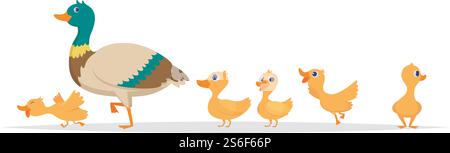 Mutter Ente. Reihe von wilden Enten Vögel Familie Wandern Vektor Zeichentricksammlung. Entenmutter, wildes Entlein Illustration. Mutter Ente. Reihe von wilden Enten Vögel Familie Wandern Vektor Zeichentricksammlung Stock Vektor