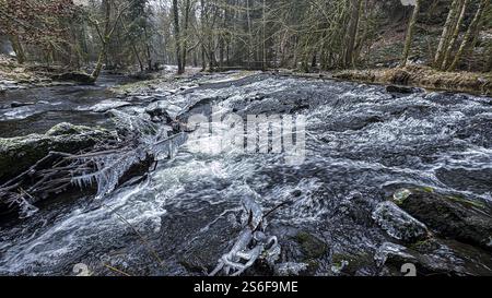 Ein wilder Fluss fließt im Winter durch einen eisigen Wald, den eisigen Wasserfall im Perlbachtal bei Bogen, Niederbayern Stockfoto