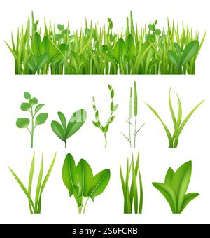 Gras realistisch. Ökologie Set grüne Kräuter Blätter Pflanzen Leben Wiesen Vektor Elemente Sammlung. Gras grüne Wiese, Rasen Sommer üppige Illustration. Gras realistisch. Ökologie Set grüne Kräuter Blätter Pflanzen Leben Wiesen Vektor Elemente Sammlung Stock Vektor