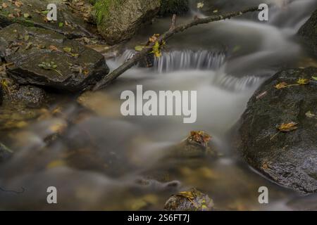 Sanft fließender Bach mit Steinen und fallenden Blättern in herbstlicher Umgebung, Perlbachtal, Niederbayern Stockfoto