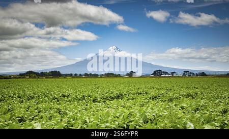 Ein Bild des Mount Taranaki in Neuseeland Stockfoto