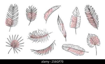 Skizze tropische Blätter. Blumenlaub, Tuschkunst Pflanzen. Palmenzweig mit Pinselstrichen. Isoliertes exotisches Regenwald-Vektorset. Zeichenblatt, exotische Palme gezeichnet, Blumenzeichnung Illustration. Skizze tropische Blätter. Blumenlaub, Tuschkunst Pflanzen. Palmenzweig mit Pinselstrichen. Isoliertes exotisches Regenwald-Vektorset Stock Vektor
