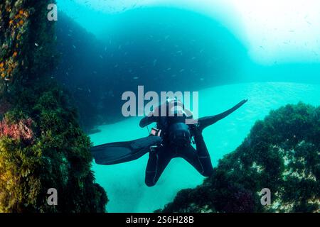 Taucher im Taucheranzug in der Nähe des Meeresbodens Stockfoto