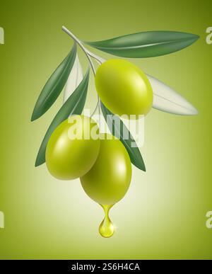 Oliventropfen. Natürlicher Zweig mit Spritzern von transparentem Öl Vektor Nahaufnahme Tropfenvektor realistische griechische Olivenöl Lebensmittel. Öl Olive griechisch, Zutat gesunde Olive Illustration. Oliventropfen. Natürlicher Zweig mit Spritzern von transparentem Öl Vektor Nahaufnahme Tropfenvektor realistische griechische Olivenöl Lebensmittel Stock Vektor