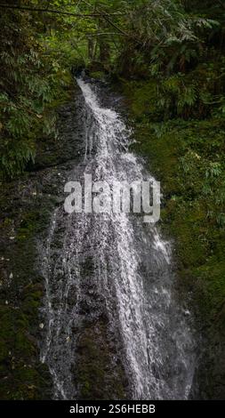 Schmaler Wasserfall, der über moosbedeckte Felsen kaskadiert Stockfoto