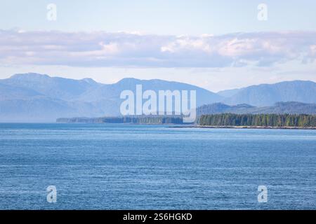 Die Küste Alaskas ist mit Pinienwäldern gefüllt Stockfoto