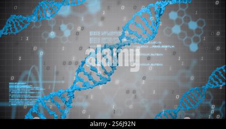 Abbildung von dna-Strängen und digitaler Datenverarbeitung mit Binärcodierung Stockfoto