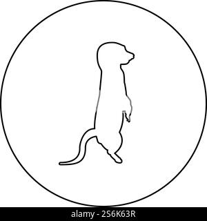 Meerkat in Pose Suricata Suricatta Silhouette im Kreis rund schwarz Farbe Vektor Illustration Kontur Umriss Stil Bild einfaches Bild. Meerkat in Pose Suricata Suricatta Silhouette im Kreis rund schwarz Farbe Vektor Illustration Kontur Stil Bild Stock Vektor