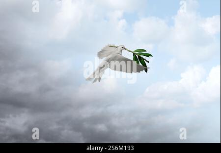 Von Konflikt zu Harmonie oder Feindseligkeit zur Ruhe als Koexistenz mit einer weißen Taube, die einen Olivenzweig trägt, der zum Symbol der Hoffnung und des Rens wird Stockfoto