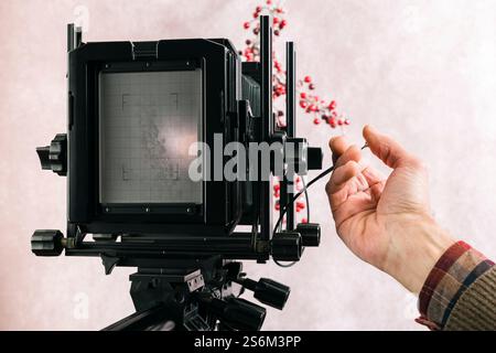 Aufnahmen mit einer großformatigen Filmkamera in einem Fotostudio. Stockfoto
